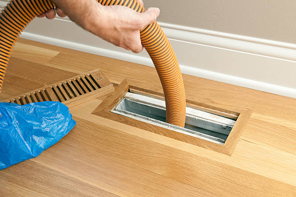 Best Air Vent Cleaning Services  in Knob Noster, MO